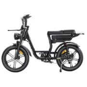 fat-bikes